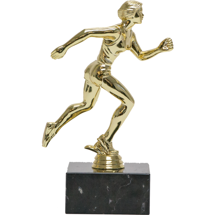 CHAMPIONS SERIES TROPHY ON BLACK MARBLE BASE