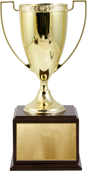 CLASSIC GOLD METAL AWARD CUP