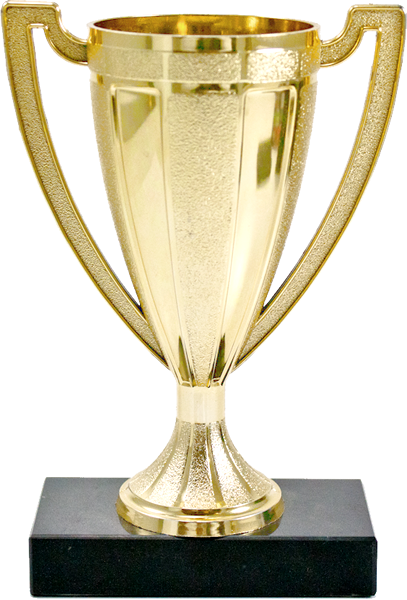 TRADITIONAL LOVING CUP TROPHY