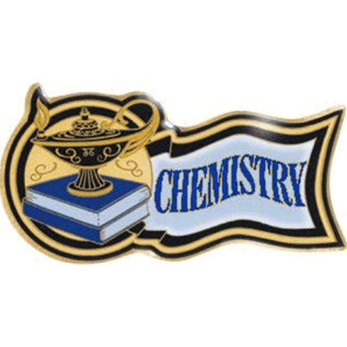 SCHOLASTIC AWARD PINS