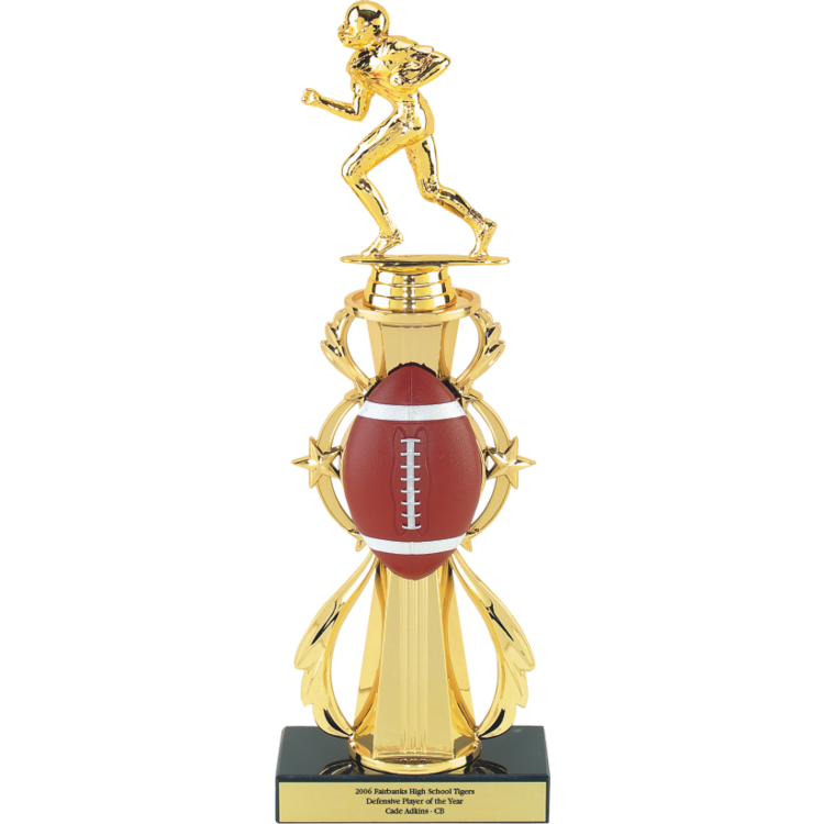 3D FULL COLOR SPORT BALL STAR RISER AWARD TROPHY